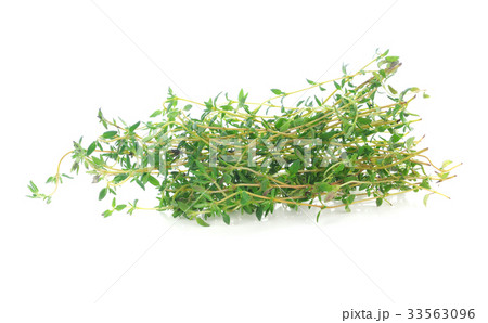 Thyme herb isolated on white background 33563096