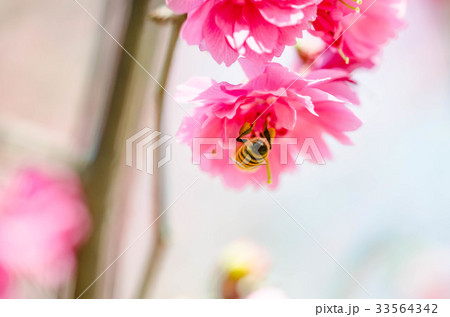 台湾 台中市 台中 33564342