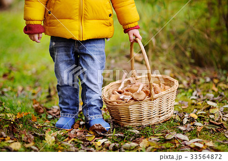 Close-up photo of little boy picking mushroom Close-up photo of little boy picking mushroom 33564872