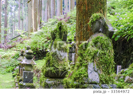 苔むした石仏 33564972
