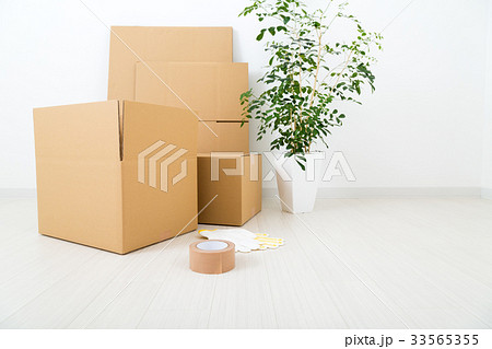 ダンボール 33565355