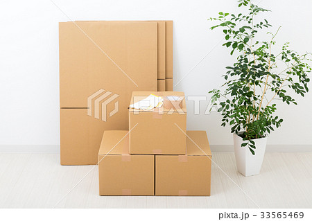 ダンボール 33565469
