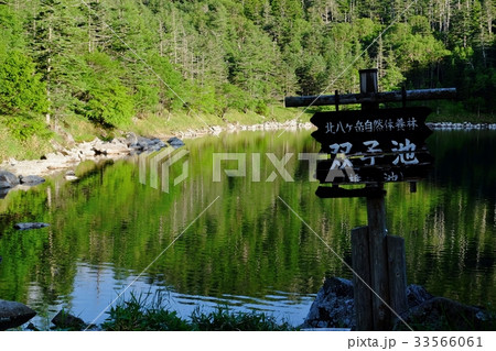 双子池 双子池 33566061