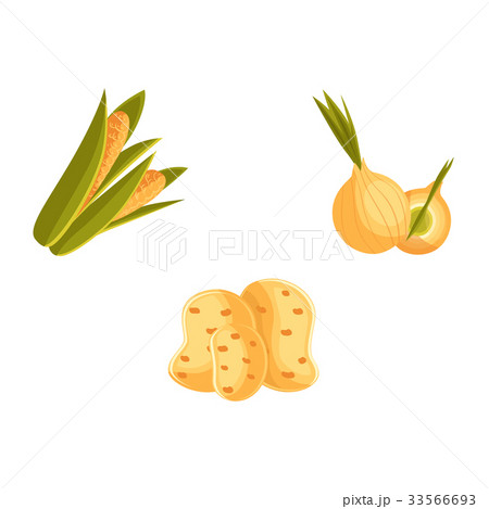 Farm products - potato, corn and onion vegetables 33566693