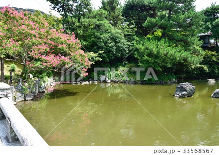 京都 円山公園 京都 円山公園 33568567