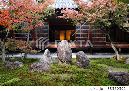 京都　秋の建仁寺　潮音庭 33570592