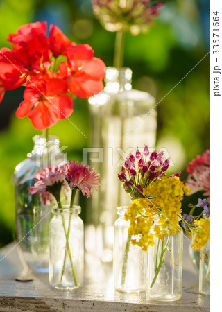 summer flowers summer flowers 33571664