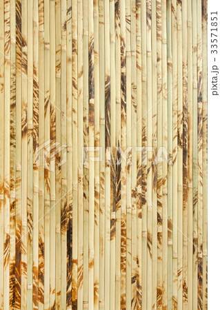 bamboo texture. bamboo texture. 33571851