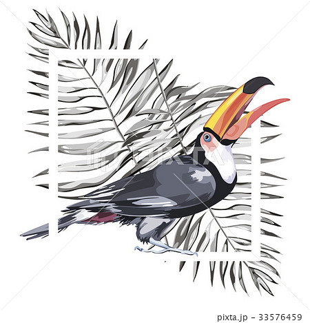 Toucan with tropical leaf. Element for design of 33576459