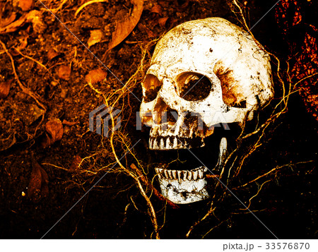In front of human skull buried in the soil In front of human skull buried in the soil 33576870
