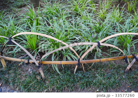 ななこ垣 ななこ垣 33577260