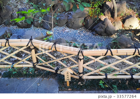 龍安寺垣 龍安寺垣 33577264