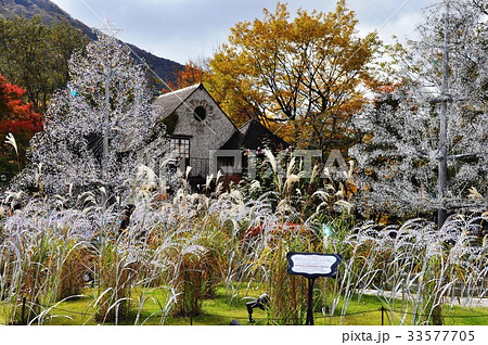 秋の箱根ガラスの森美術館ガラス庭園 33577705