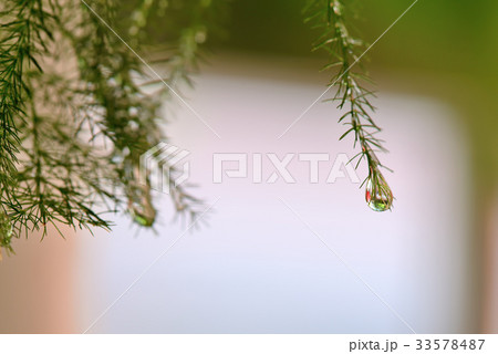 色 カラー 色彩 33578487