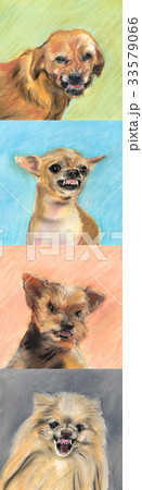 Angry Dog 縦組み Angry Dog 縦組み 33579066