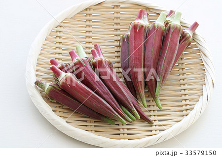 フレッシュな赤オクラ フレッシュな赤オクラ 33579150