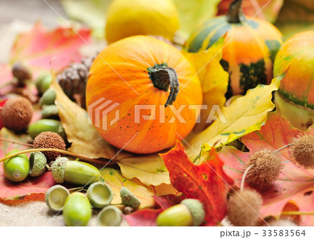 Mini decorative pumpkins with acorns Mini decorative pumpkins with acorns 33583564