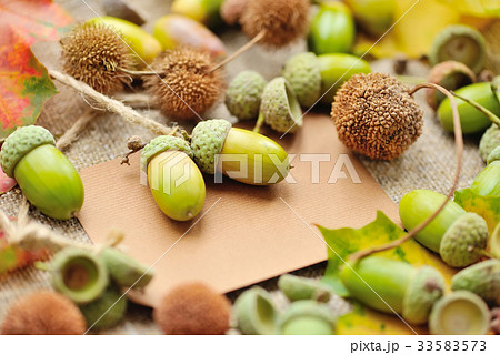 Blank paper sticker with autumn acorns and leaves 33583573