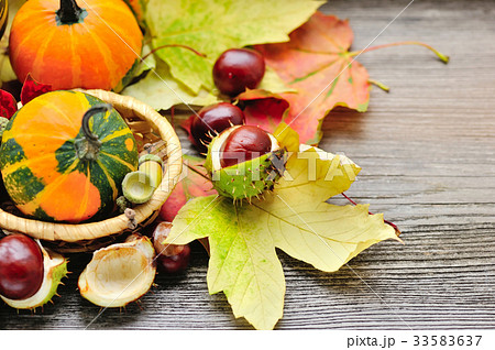 Fresh chestnuts with autumn leaves 33583637