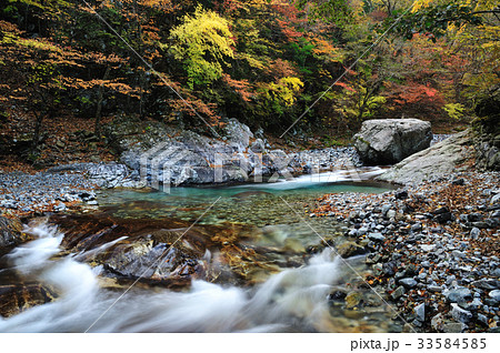 川迫川渓谷の紅葉 33584585