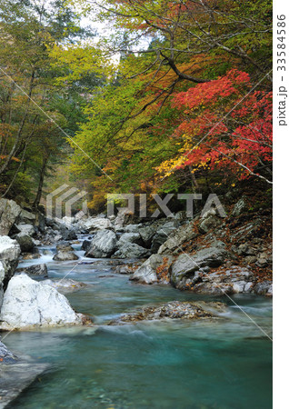 川迫川渓谷の紅葉 33584586