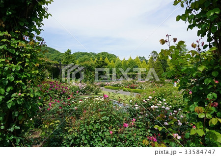 緑の額縁のような軽井沢レイクガーデン 33584747