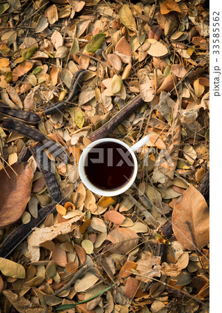 a cup of coffee on dry leaves 33585562
