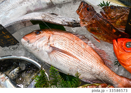 魚屋店頭 33586573