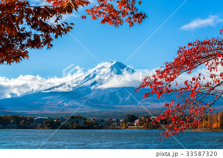 Mount Fuji in Autumn Color, Japan Mount Fuji in Autumn Color, Japan 33587320