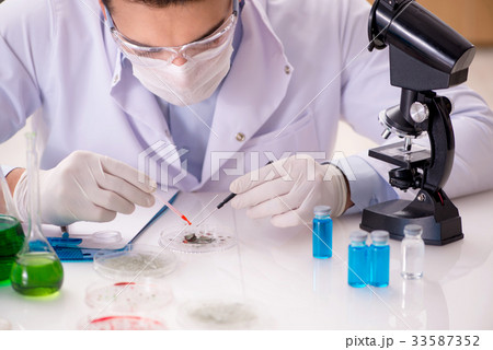 Male doctor working in the lab on virus vaccine 33587352