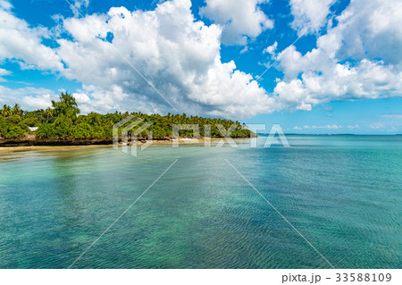 ザンジバルの海岸(タンザニア、ザンジバル) 33588109