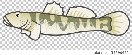 ヨシノボリ イラスト 33590681