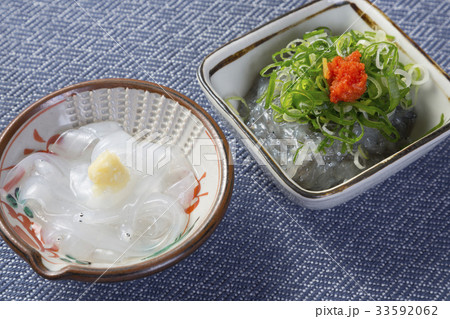 のれそれとドロメ のれそれとドロメ 33592062