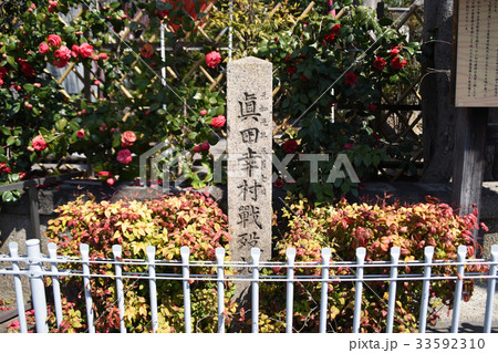 安居神社　真田幸村最期の地 33592310
