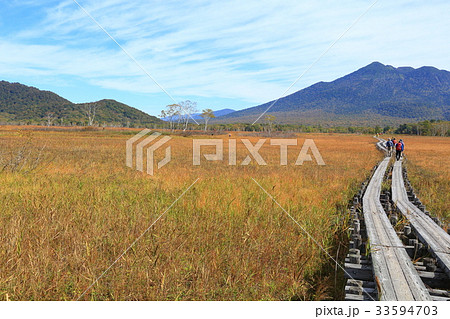 秋の尾瀬 中田代付近 秋の尾瀬 中田代付近 33594703