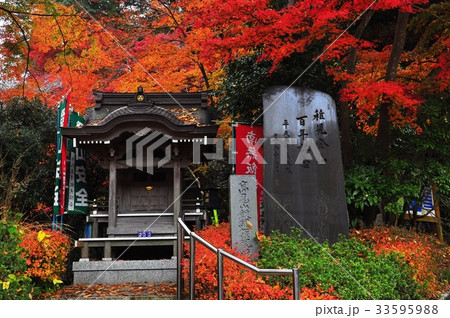 紅葉と高尾山飯縄権現遥拝所 紅葉と高尾山飯縄権現遥拝所 33595988