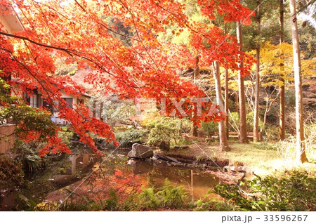 久良岐能舞台庭園 33596267