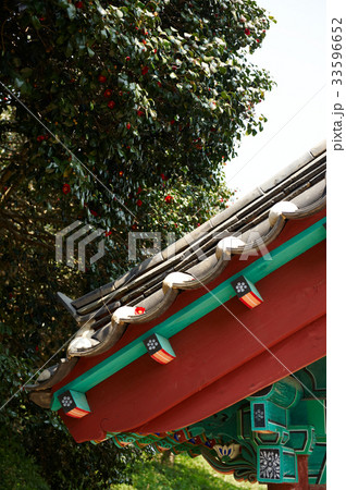 椿 禅雲寺 全北 33596652