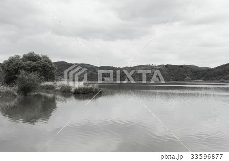 慶南 湿地 牛浦 33596877