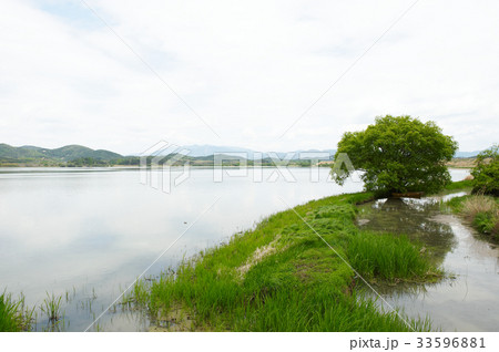 慶南 湿地 牛浦 33596881