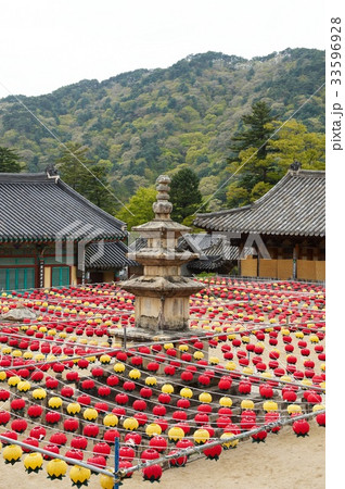 慶南 三層石塔 提灯 33596928