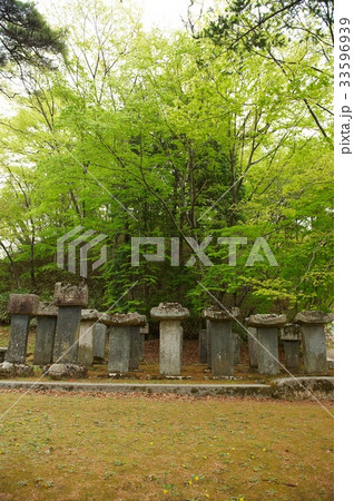 慶南 ゼオライト 節 33596939