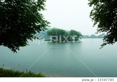 木 ウイリムジ 貯水池 33597785