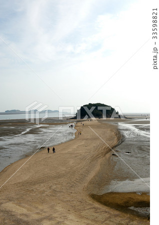 干潟 京畿道 キョンギド 33598821