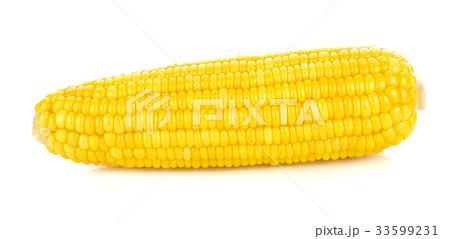 Corn on a white background 33599231