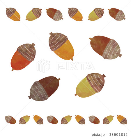 どんぐり どんぐり 33601812