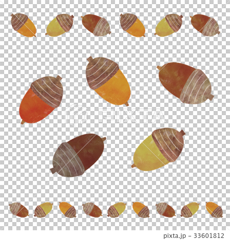 どんぐり どんぐり 33601812