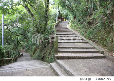 京都　石清水八幡宮　七曲がり 33602195