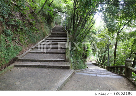 京都　石清水八幡宮　七曲がり 33602196