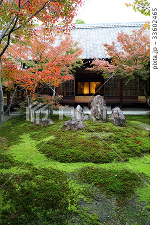 京都　秋の建仁寺　潮音庭 33602465